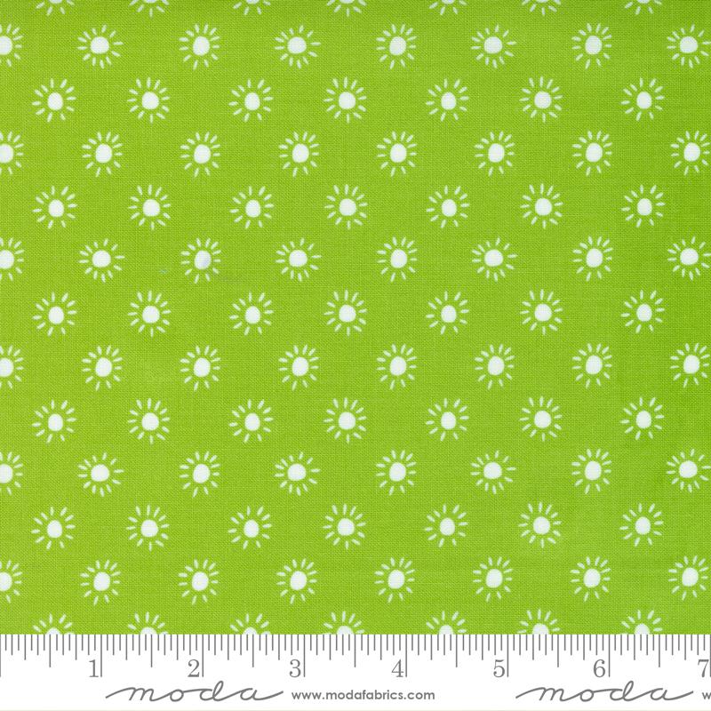 Jungle Paradise Seedling 20789 19 (29301)