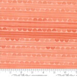Kindred Coral 36074 20 Moda #1 (33974)