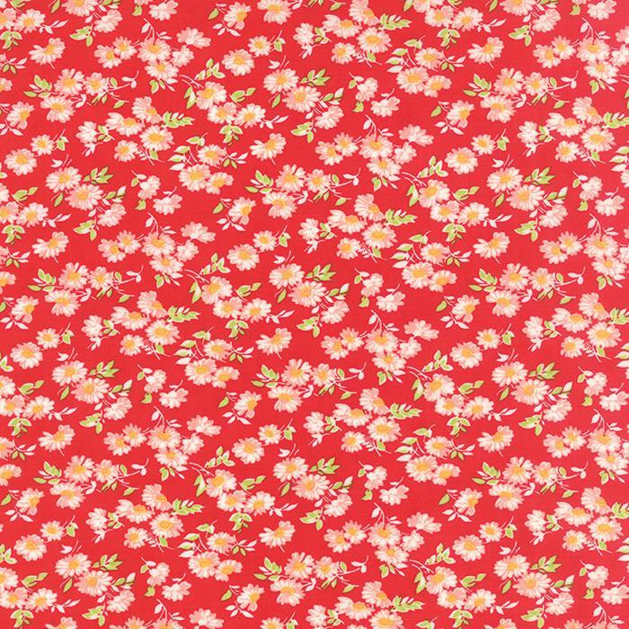 Little Ruby 55137 11 (19962)