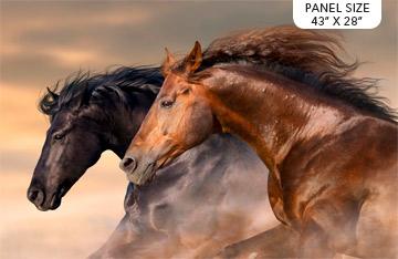 MAVERICK BEIGE MULTI #145