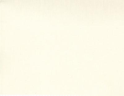 Muslin Natural 110" 9954 12 (8801)