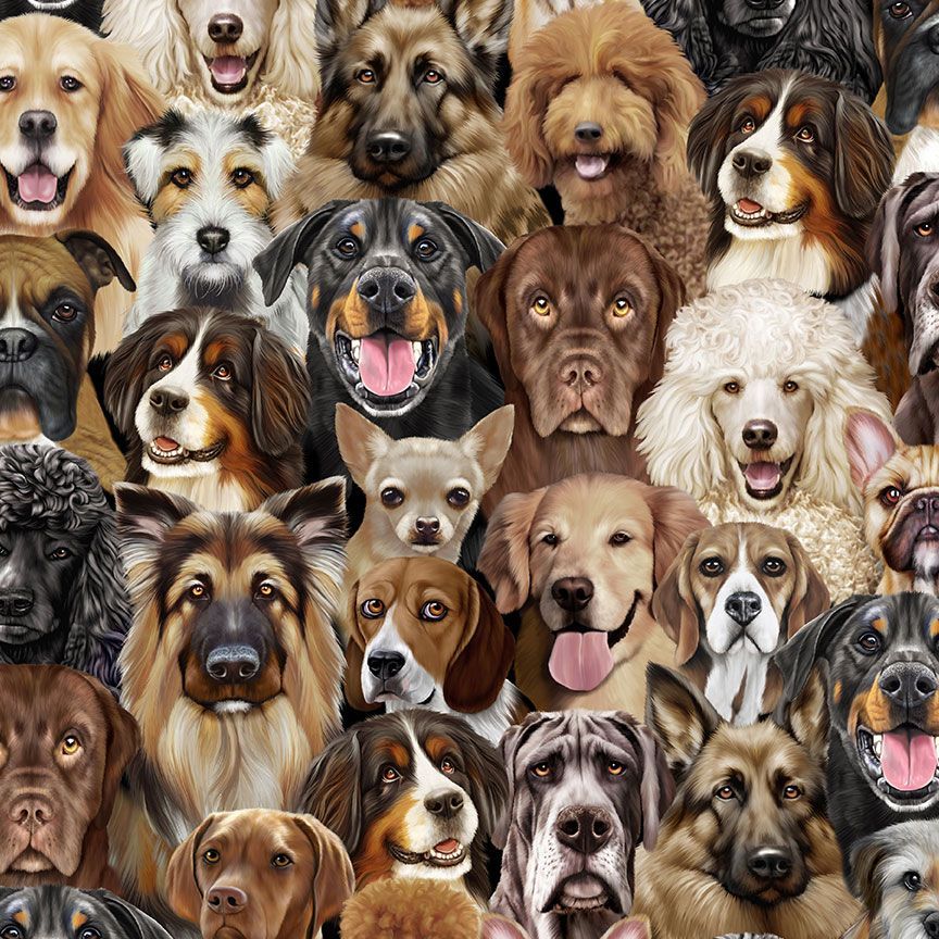 Natural Packed Dogs Portrait (34139)