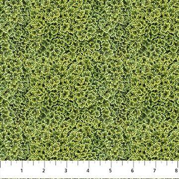 Naturescapes Basic 25497-73