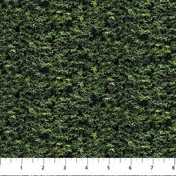 Naturescapes Basics 25499-79 (32492)