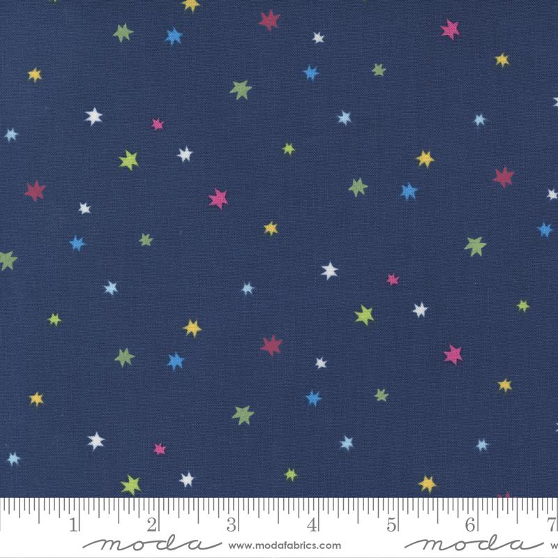 Rainbow Garden Blueberry (30209)