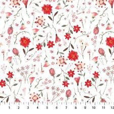 Roses are Red White Roses (30106)