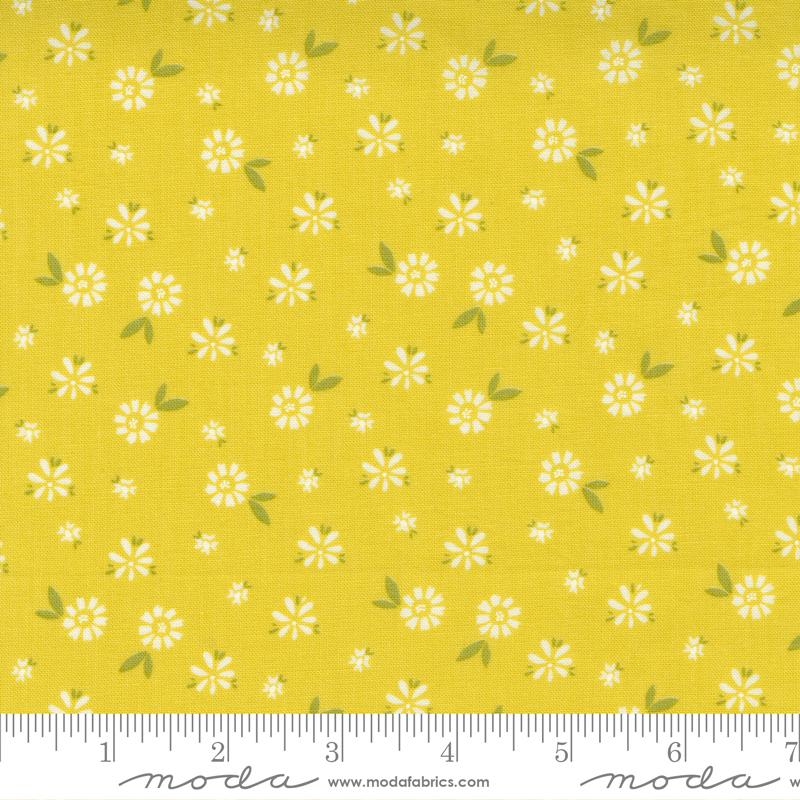 Seashore Drive Citrine