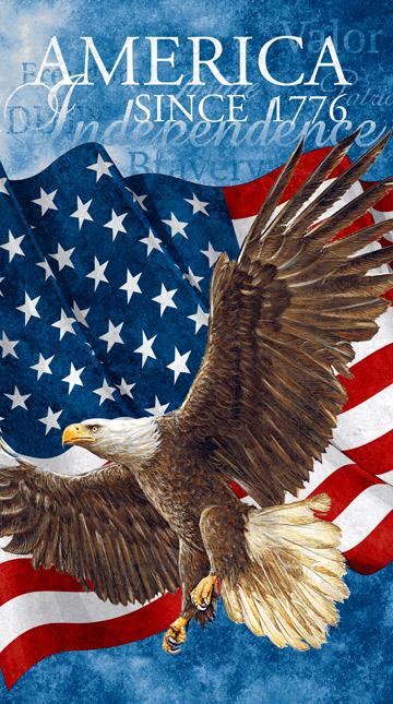 Stars & Stripes Flan-F39371 49 #19