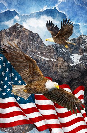 Stars&Stripes  # 2