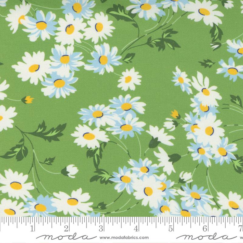 Story Time Real Daisy Green 21791 15 (29435)