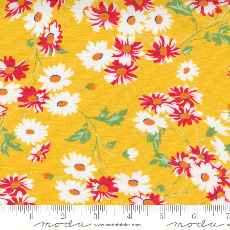 Story Time Real Daisy Yellow 21791 14 (29427)