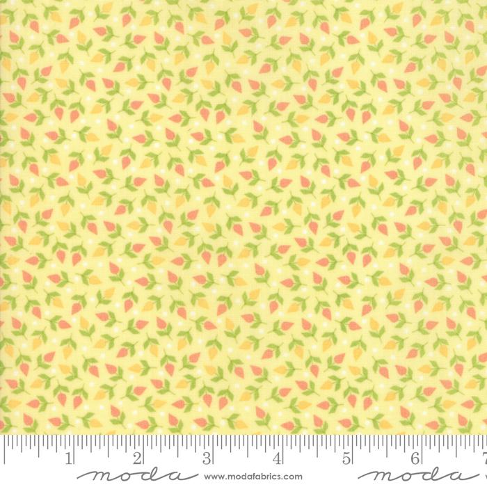 Sunnyside Up 29055 12 Lighthear (22675)