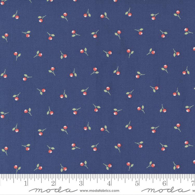 Sunwashed Midnight 29164 21 Moda #1 (31744)