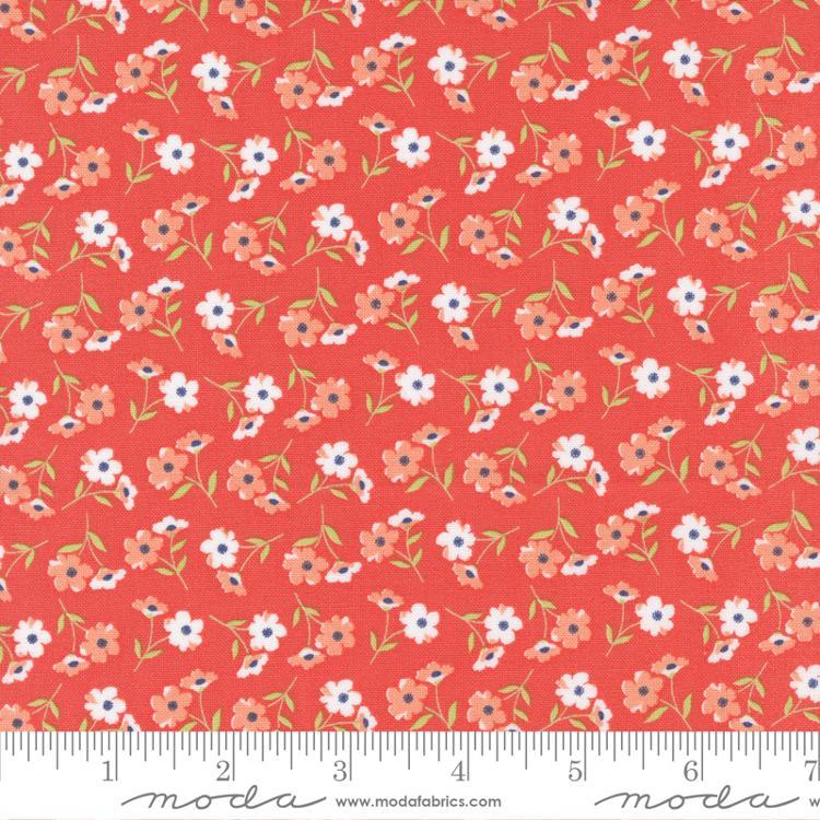 Sunwashed Nectar 29162 19 Moda #1 (31743)