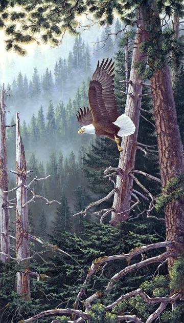 Beyond the Forest (Eagle) - #11