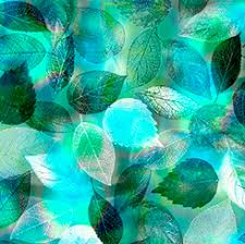 Tree Dance - Leaves Turquois (33373)