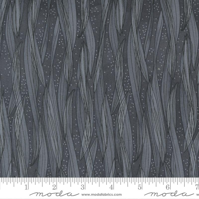 Tulip Tango Shadow (30438)