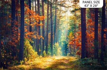 VIEW AUTUMN WARMTH