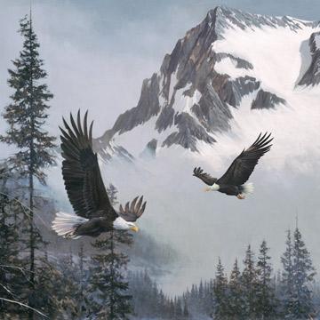 When Eagles Soar - # 24