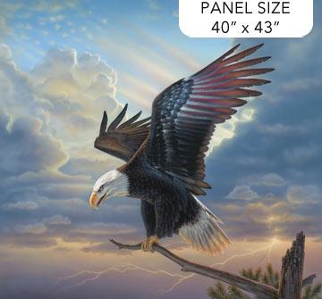 WINGED GLORY PANEL 40"x43" #2