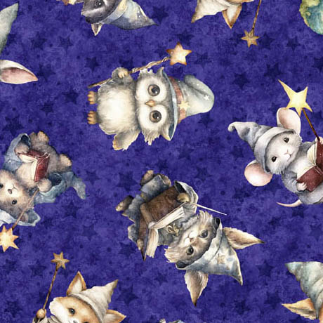 Lil' Wizards - Wizard toss purple (34449)