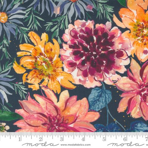 Floribunda Midnight 39800 12 (34561)