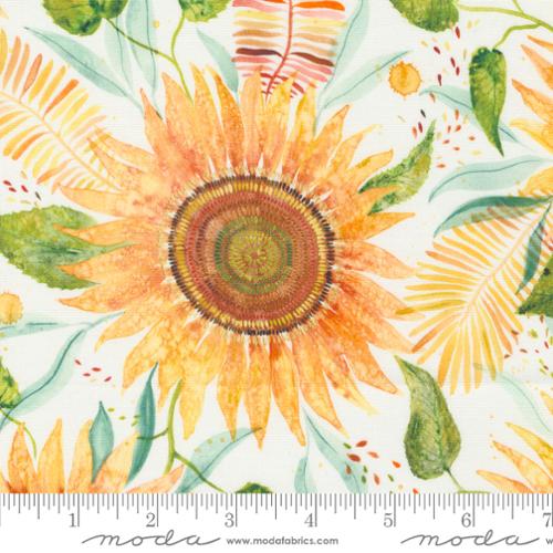 Floribunda Cloud 39802 11 (34564)