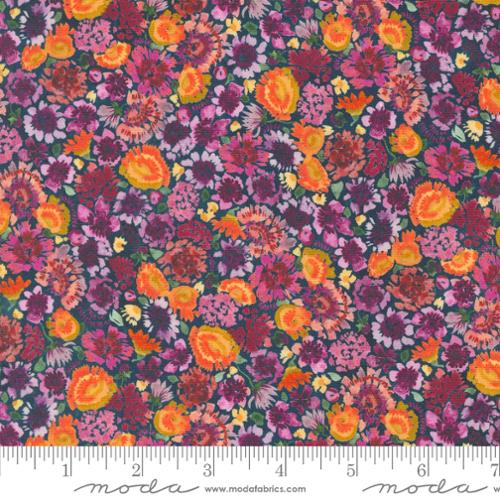 Floribunda Midnight 39809 12 (34566)