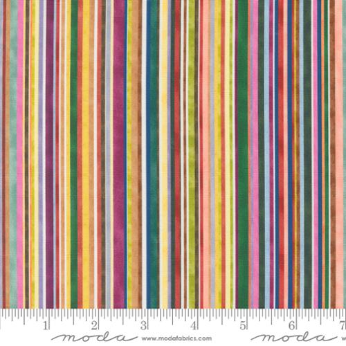 Floribunda Rainbow 39811 11 (34567)