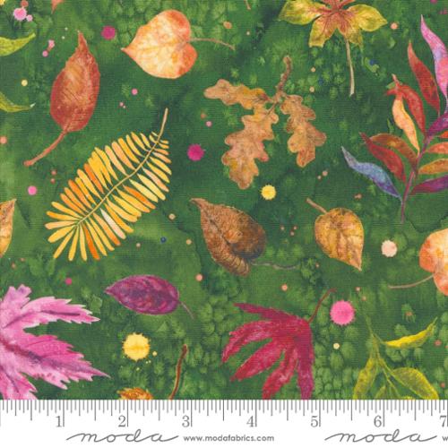 Floribunda Herb 39804 14 (34569)