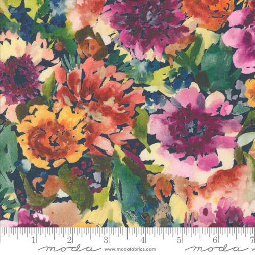 Floribunda Midnight 39803 12 (34572)