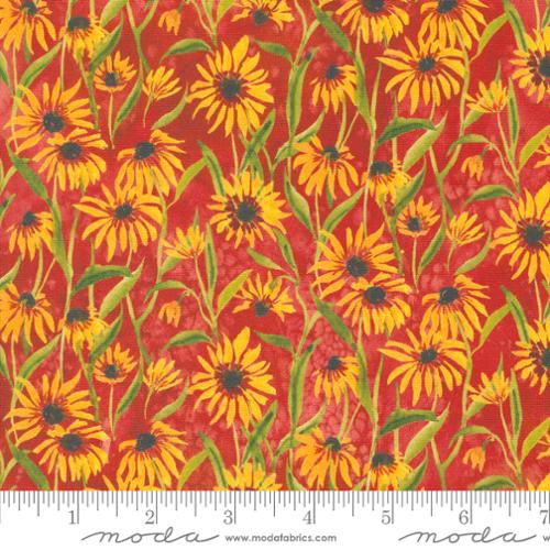 Floribunda Spice 39805 14 (34579)