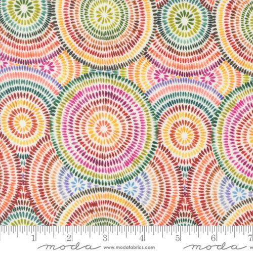 Floribunda Rainbow 39806 11 (34580)