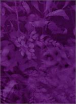 Bali SunPrints 0606 (34673)