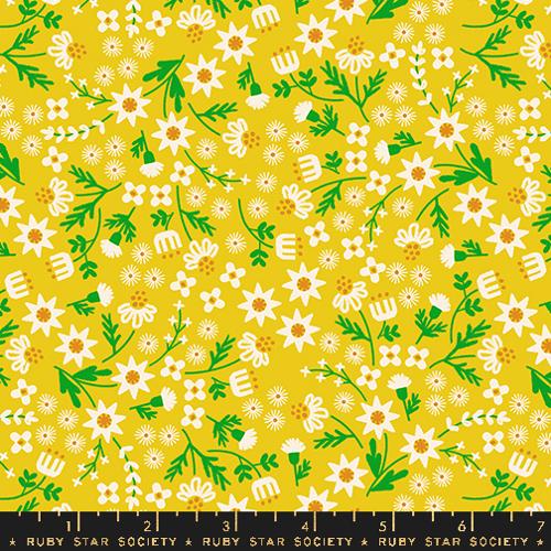 Favorite Flowers Golden Hour (34807)