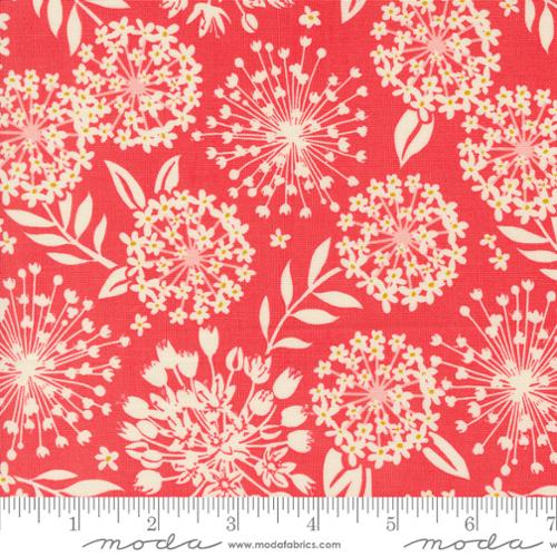 Tango Simpatico Tangerine (35006)