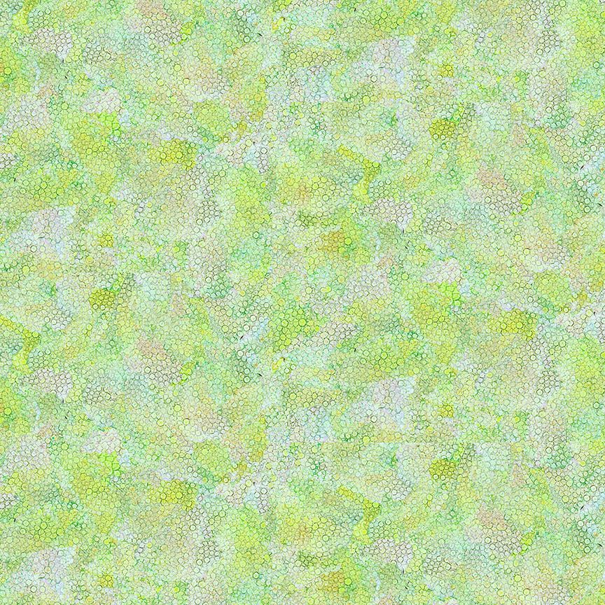DRAGONFLY ILLUSION DOT-CD3212  GREEN (35848)