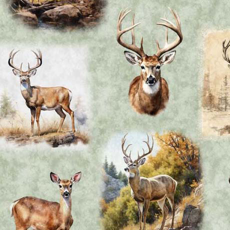 BUCK WILD   Deer Vignettes 30804-H (35882)