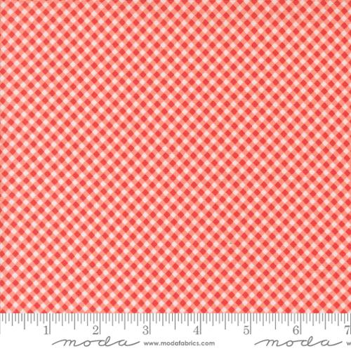 Raspberry Summer Carnation 37697 12 (36043)