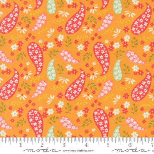 Raspberry Summer Apricot 37691 14 (36048)