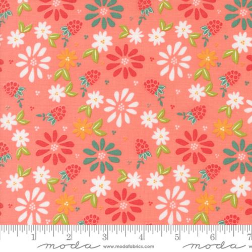 Raspberry Summer Carnation 37690 12 (36051)
