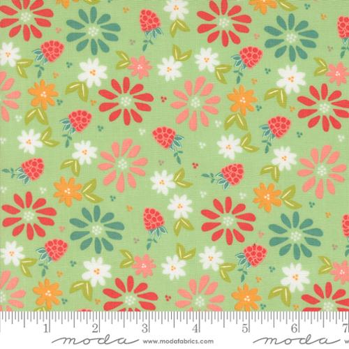Raspberry Summer Mint 37690 15 (36054)