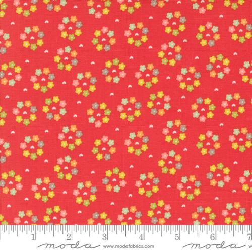 Raspberry Summer Raspberry 37695 13 (36062)
