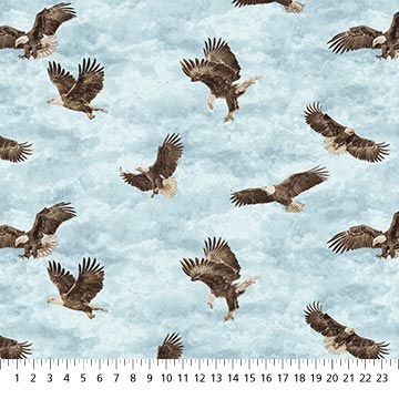 Eagle Pass - Stonehenge Lt Blue Multi 27675-42 (36127)