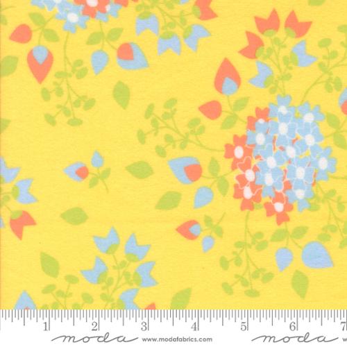 Sherbet Sunshine Flan Sunshine 29220 17F (36396)