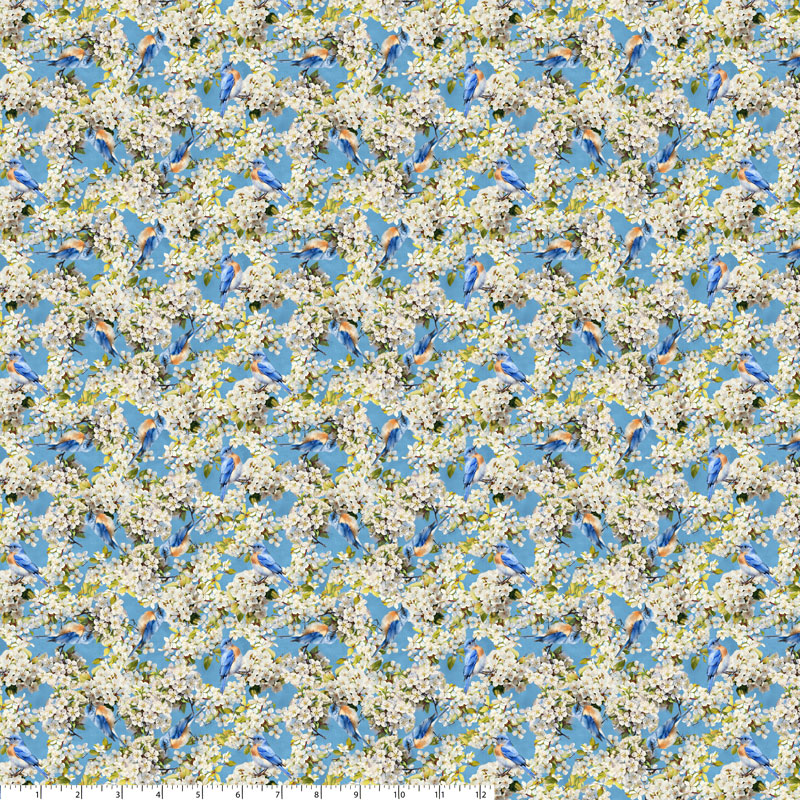 2025 Missouri Shop Hop Aerial Explorers Sky (36477)