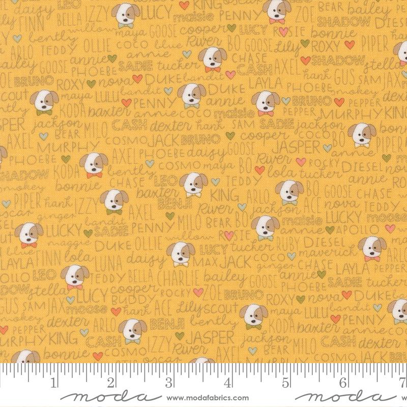 Lucky Buddies Sun 55702 14 by Sweetwater (36295)