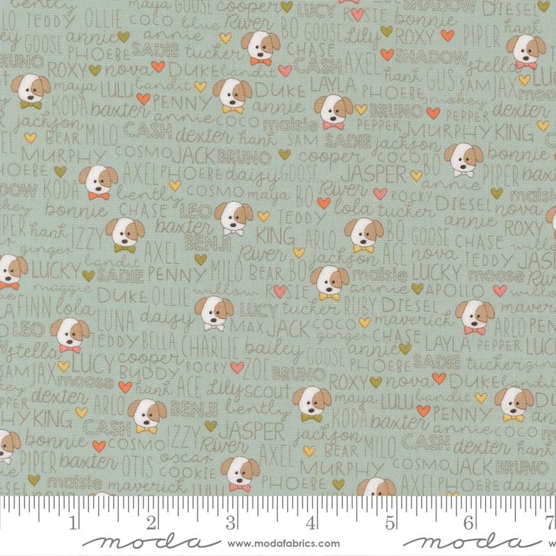 Lucky Buddies Sky 55702 12  by Sweetwater (36598)