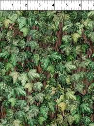 Botanical 6BL1 (31189)