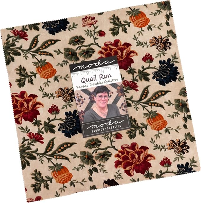 Quail Run Layer Cake® Kansas Troubles (36836)